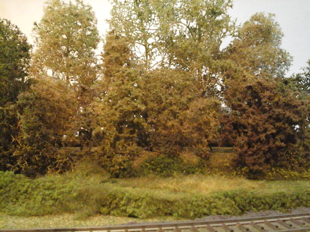 Groenstrook zonder zijbeplanting.jpg