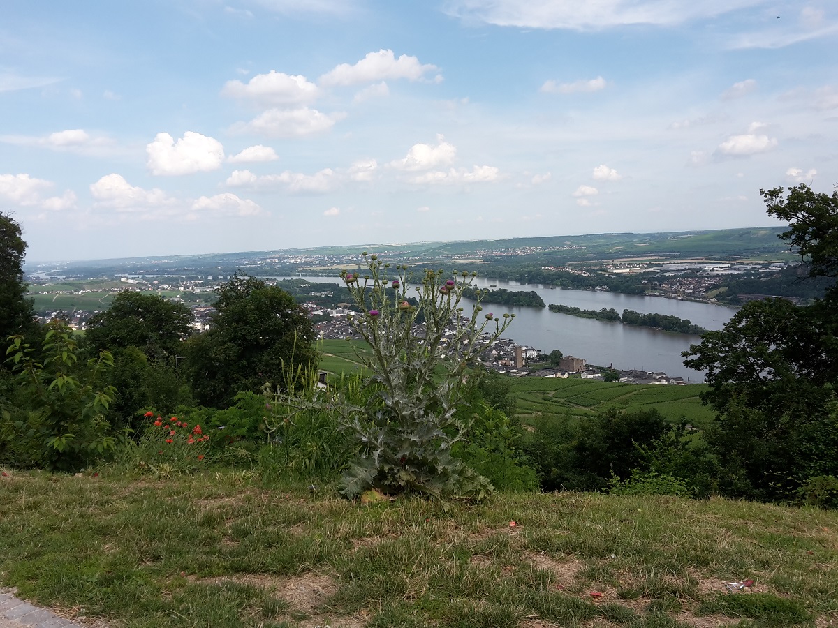 86Z ZUIDWAARTSE EN WIJDSE BLIK OP RÜDESHEIM MET 28 GRADEN OP DE THERMOMETER.jpg