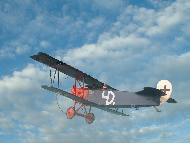 Revell Fokker DVII.jpg