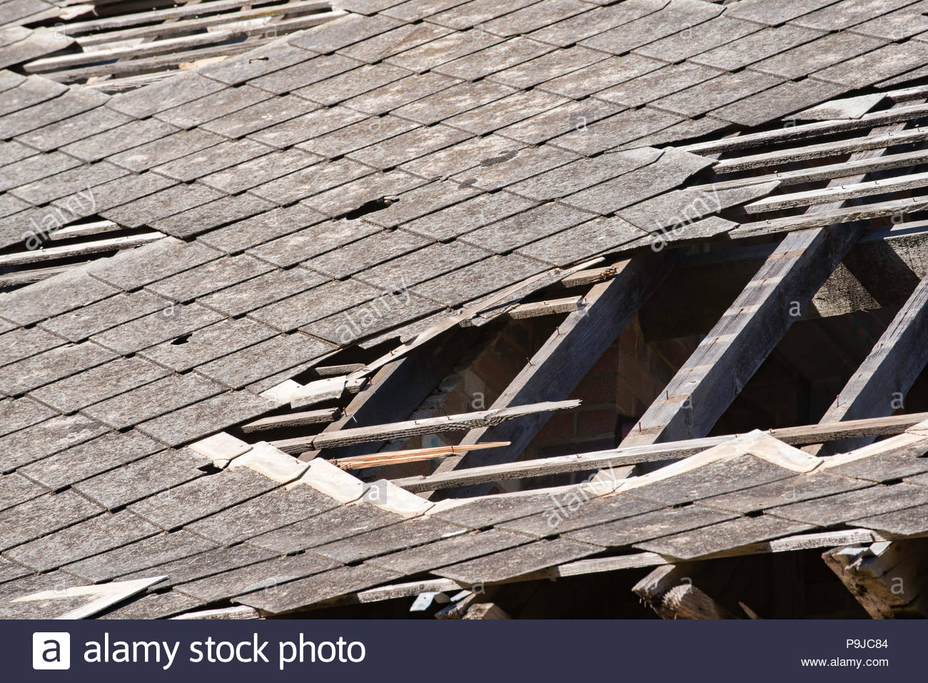 un-vieux-toit-de-bardeaux-et-les-fuites-sur-le-batiment-deserte-a-mittagong-nsw-maltings-les-tuiles-sont-plus-probablement-de-lamosite-ou-amiante-gris-p9jc84.jpg