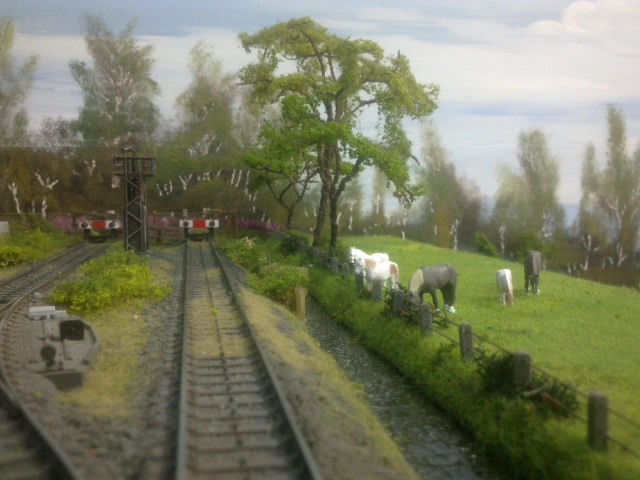 pony's in't groen2.jpg