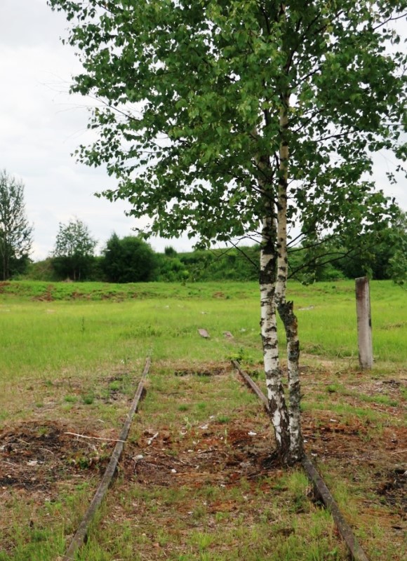 Dit spoor is al een tijdje niet meer gebruikt 0339.jpg