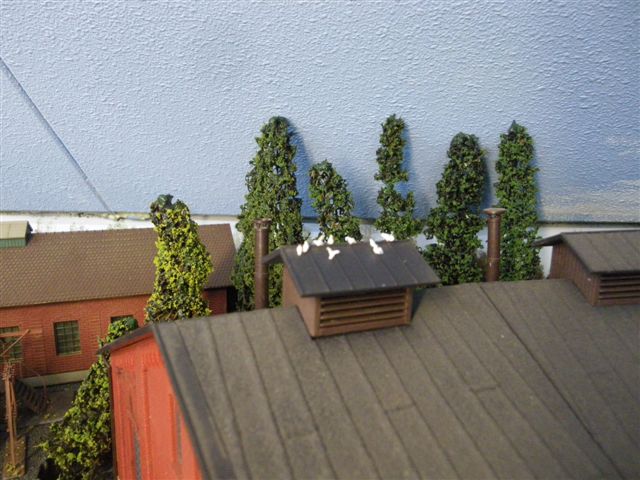duiven op het dak.JPG