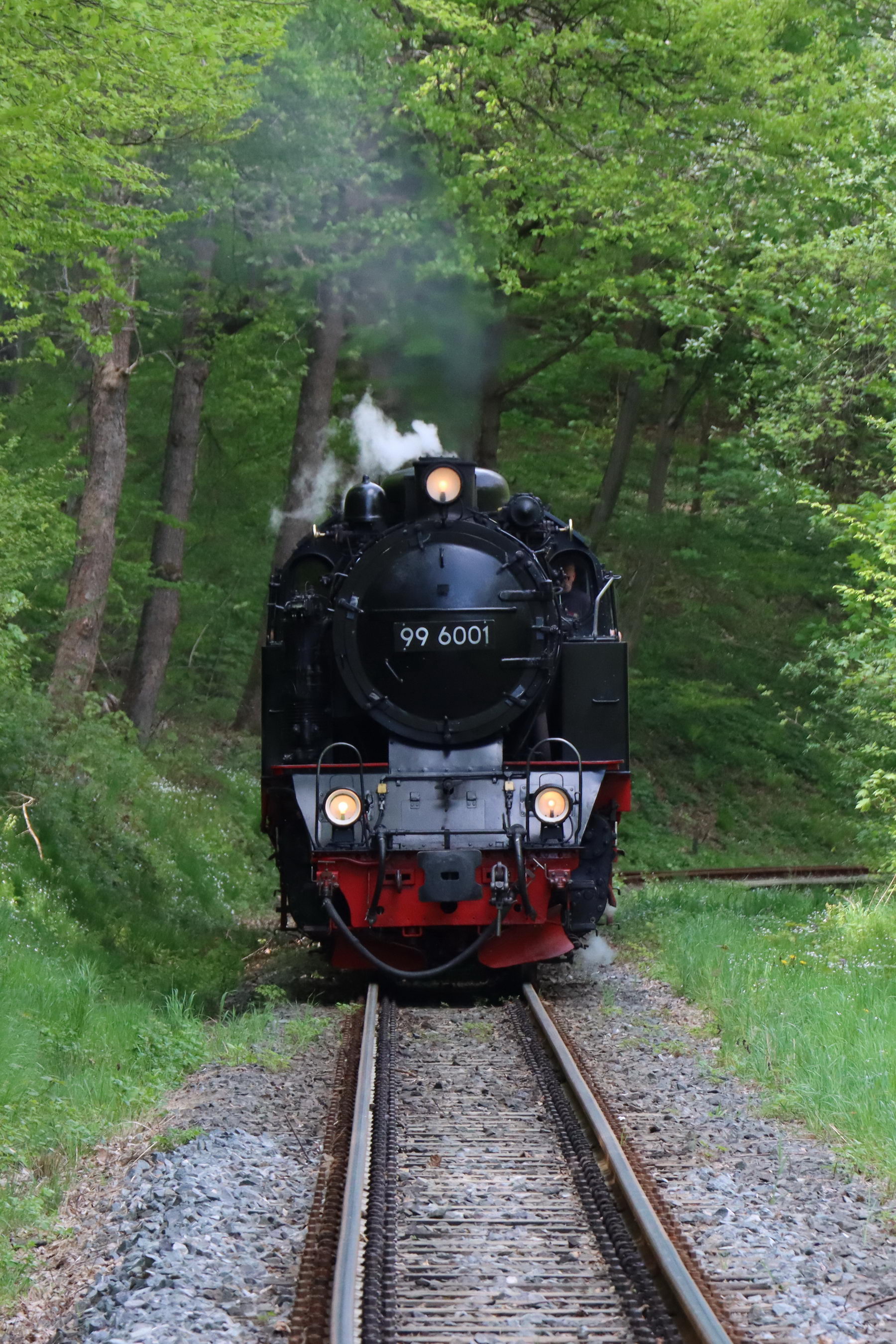 20220512 - 145315 - 01 - HSB - Selketalbahn - Bij Alexisbad.jpg