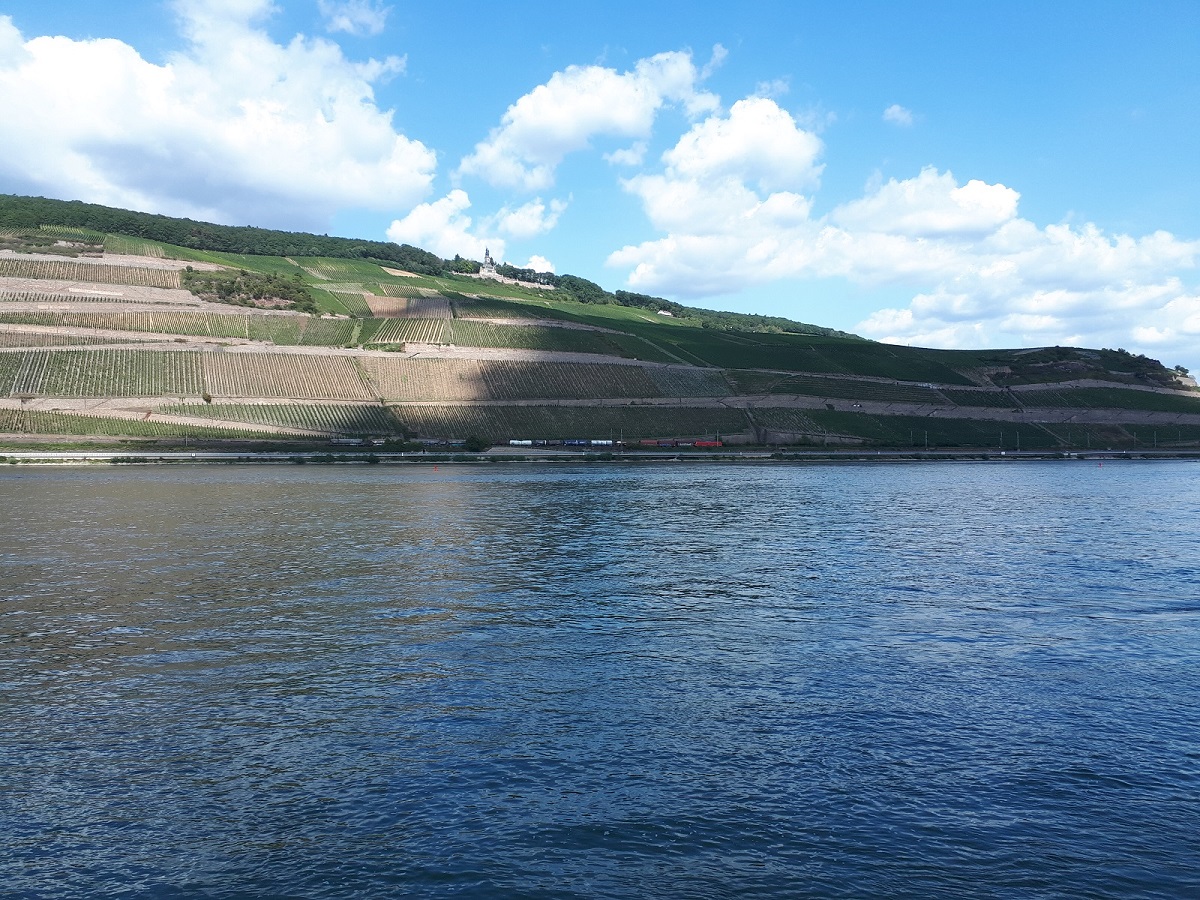 55N VANAF EEN TERRASJE AAN HET WATER IN BINGEN HEB JE MOOI ZICHT OP RÜDESHEIM EN OMGEVING.jpg