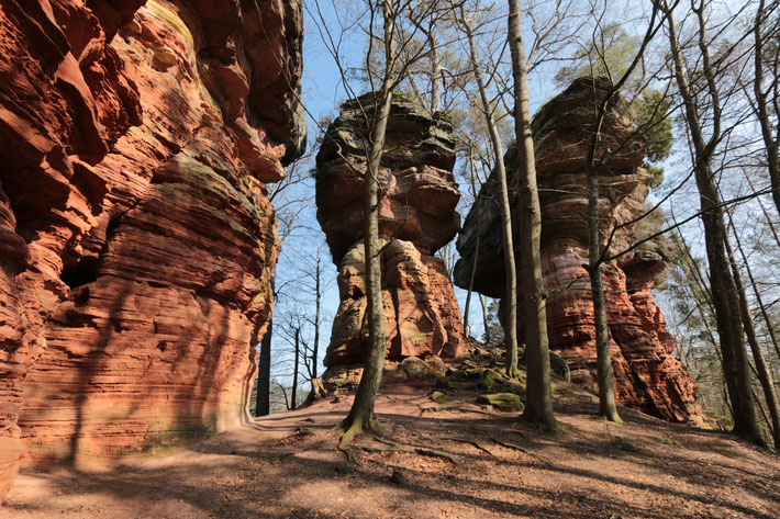 bron; felsenheimat-pfalz.de.jpg