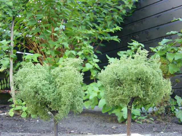 Bomen in de tuin H0.JPG