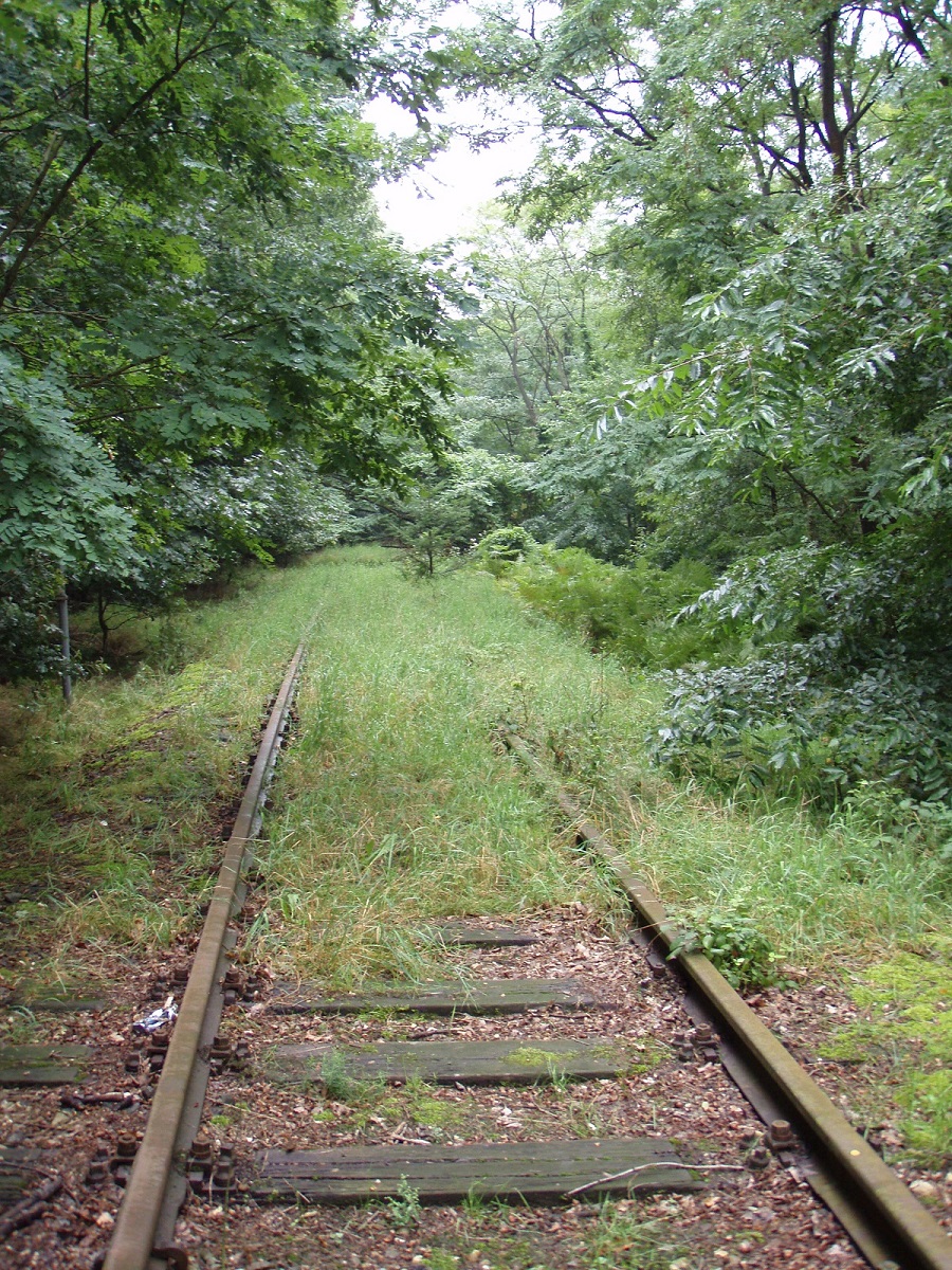 overwoekerd spoor.jpg