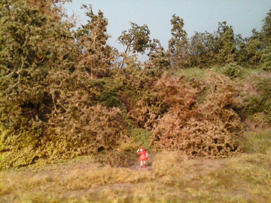 MONDKAPJE IS GOEDGEMUTST EN BESCHERMD  ONDERWEG NAAR HAAR EENZAME OMA IN HET BOS.jpg