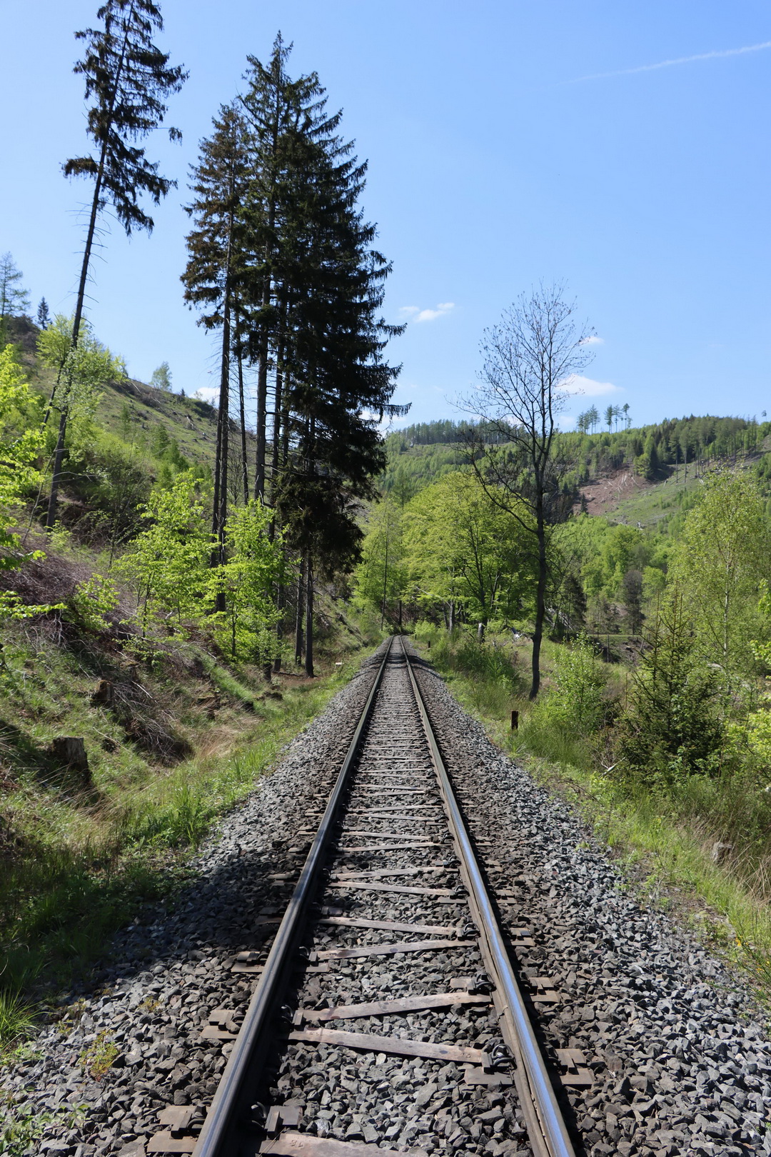 20220509 - 140903 - 01 - HSB - Tunnelspoor - Omgeving Wernigerode.jpg