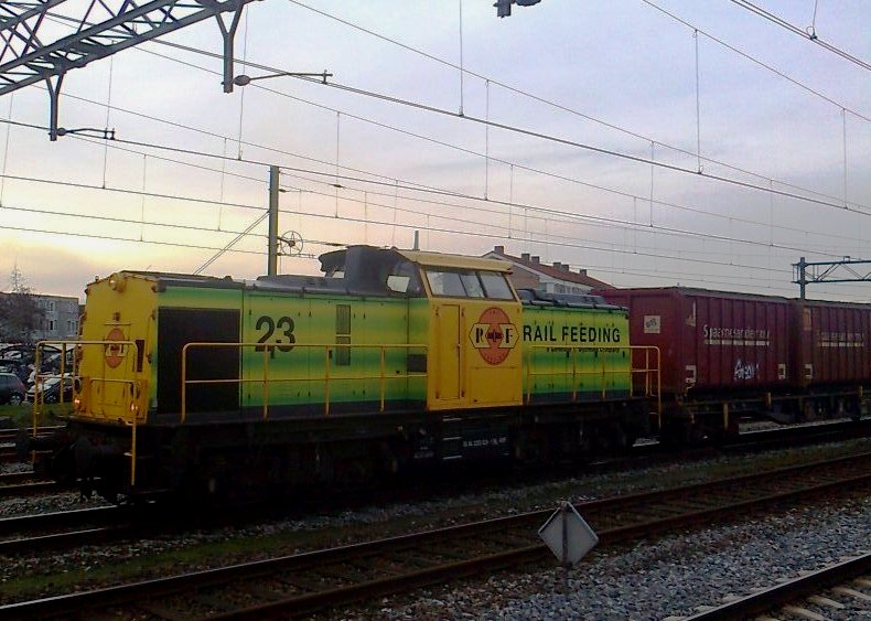 Rail Feeding no 23.jpg