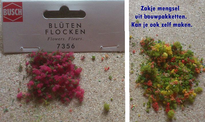 4- BLOEIENDE BLOEMEN.JPG